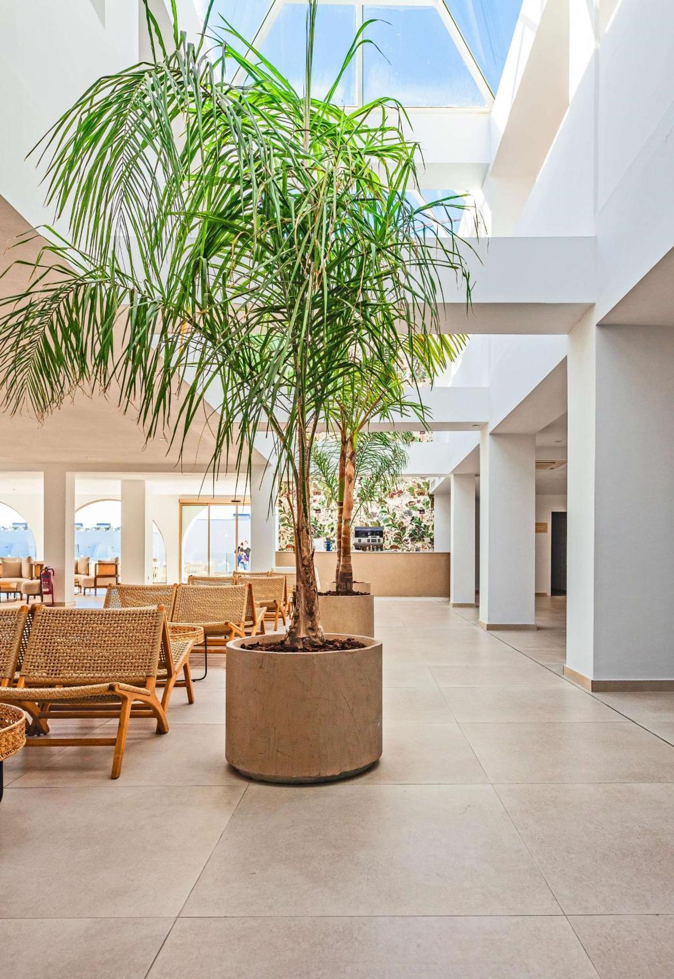 Blue Sea Island Hotel Kolymbia Exterior photo